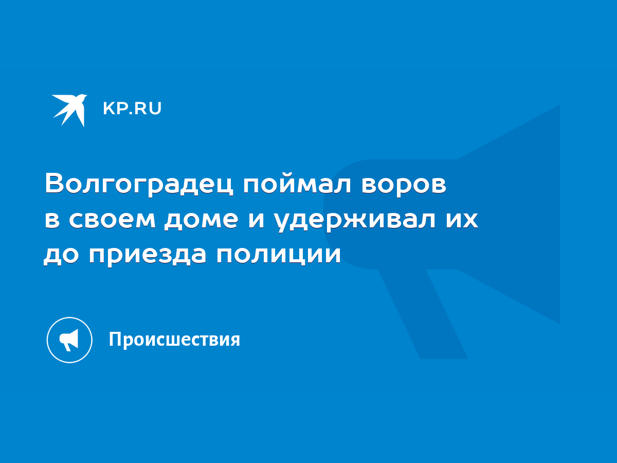 Волгоградец поймал воров в своем доме и удерживал их до приезда полиции -  KP.RU