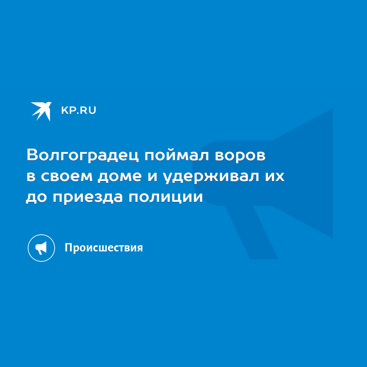 Волгоградец поймал воров в своем доме и удерживал их до приезда полиции -  KP.RU