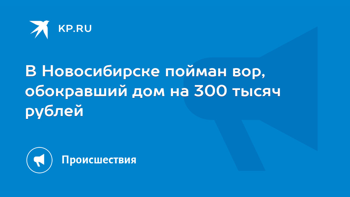 В Новосибирске пойман вор, обокравший дом на 300 тысяч рублей - KP.RU