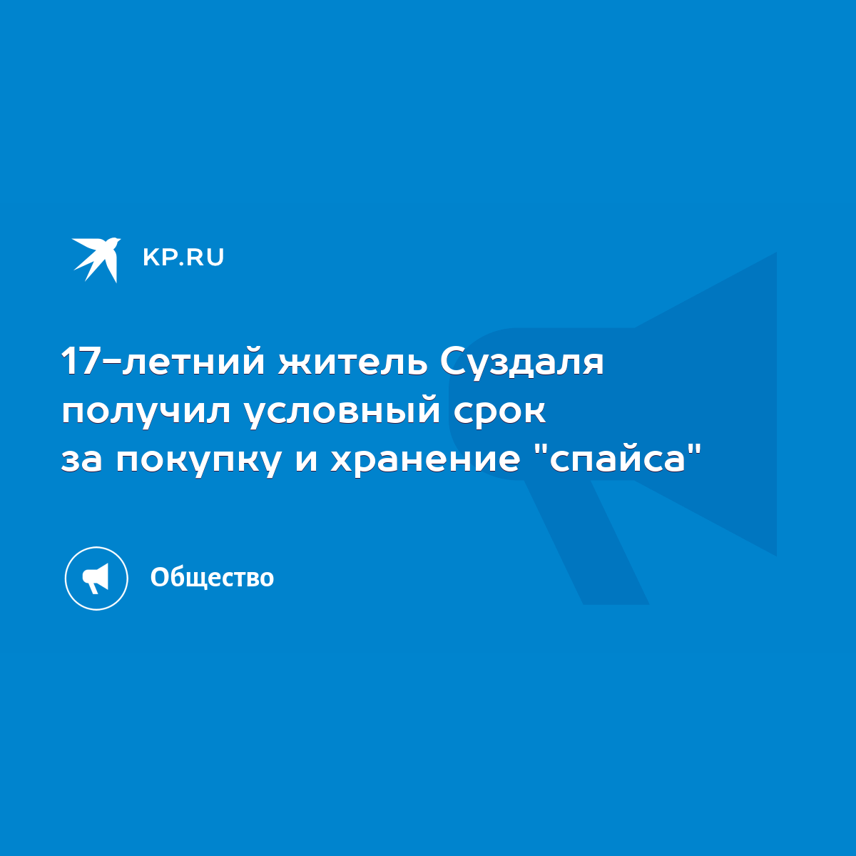 17-летний житель Суздаля получил условный срок за покупку и хранение  