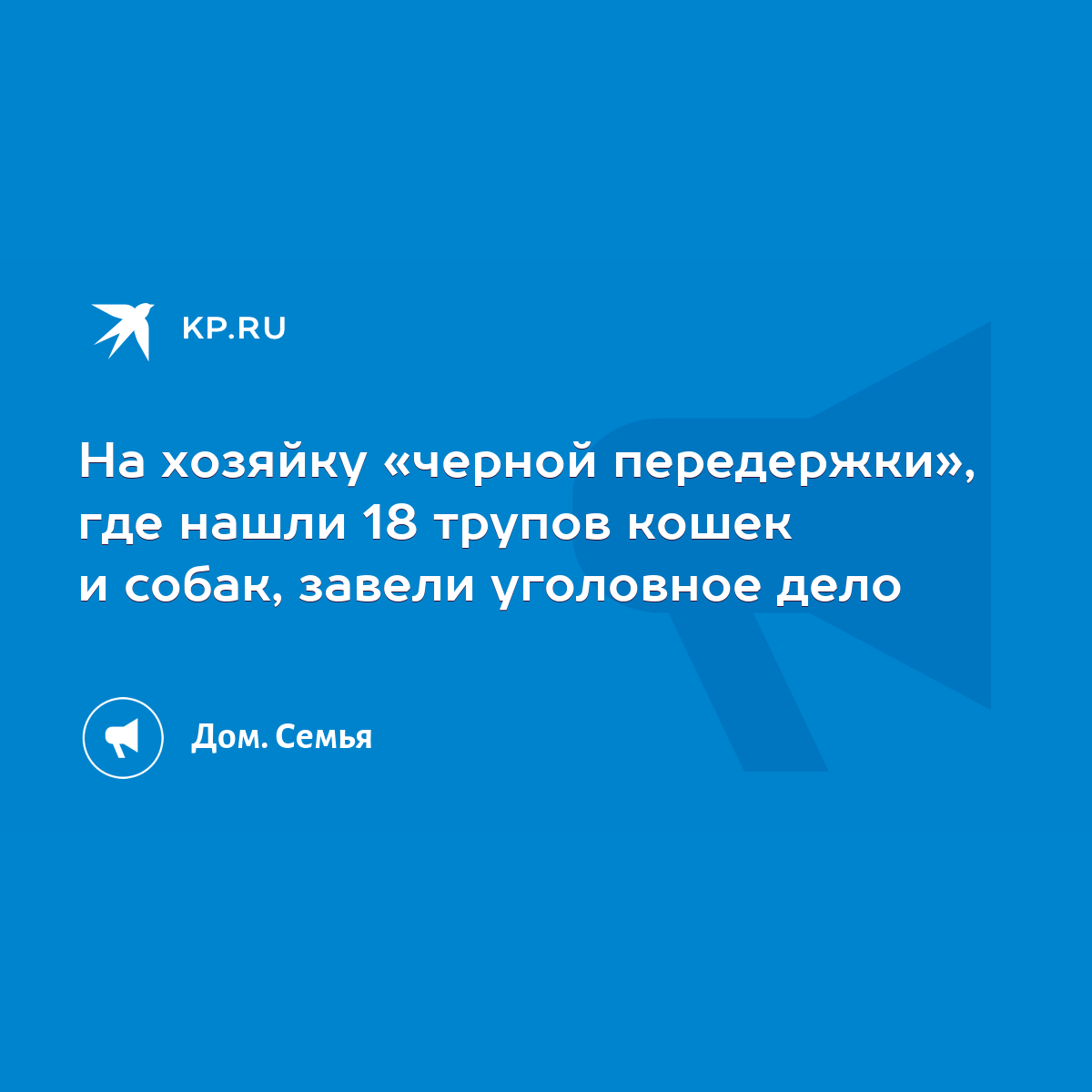 На хозяйку «черной передержки», где нашли 18 трупов кошек и собак, завели  уголовное дело - KP.RU