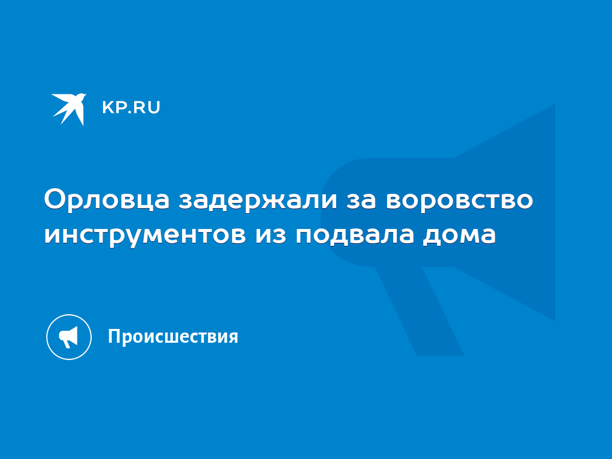 Орловца задержали за воровство инструментов из подвала дома - KP.RU