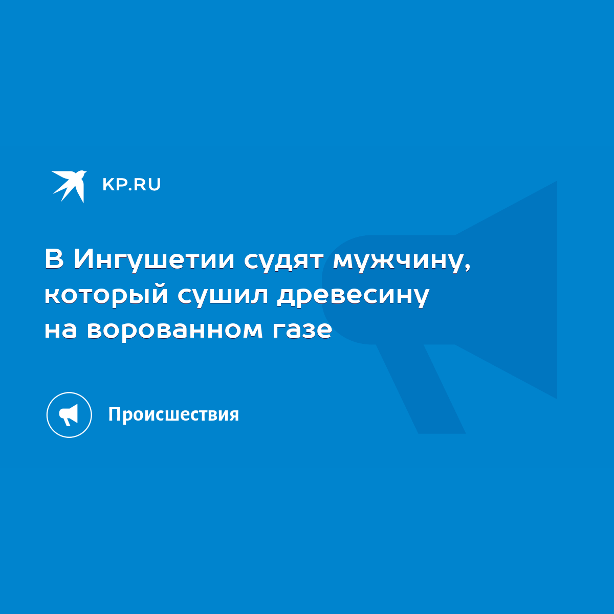 В Ингушетии судят мужчину, который сушил древесину на ворованном газе -  KP.RU