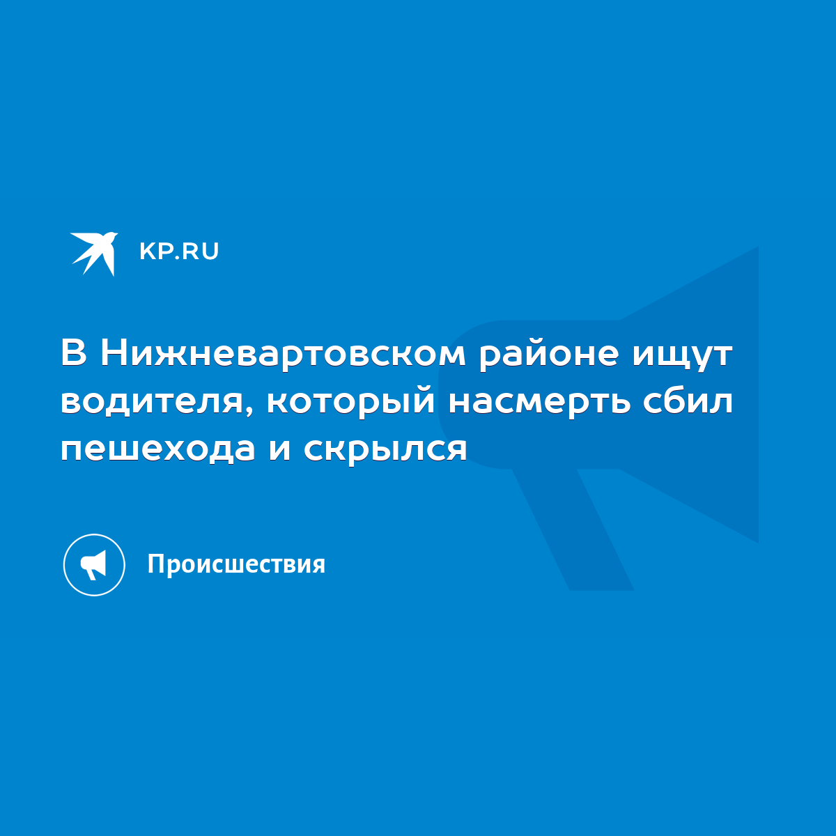 В Нижневартовском районе ищут водителя, который насмерть сбил пешехода и  скрылся - KP.RU