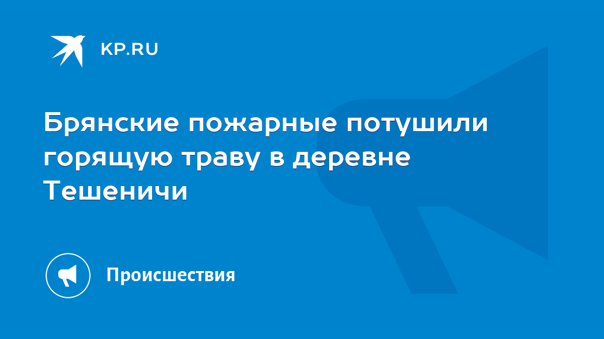 Брянские пожарные потушили горящую траву в деревне Тешеничи - KP.RU