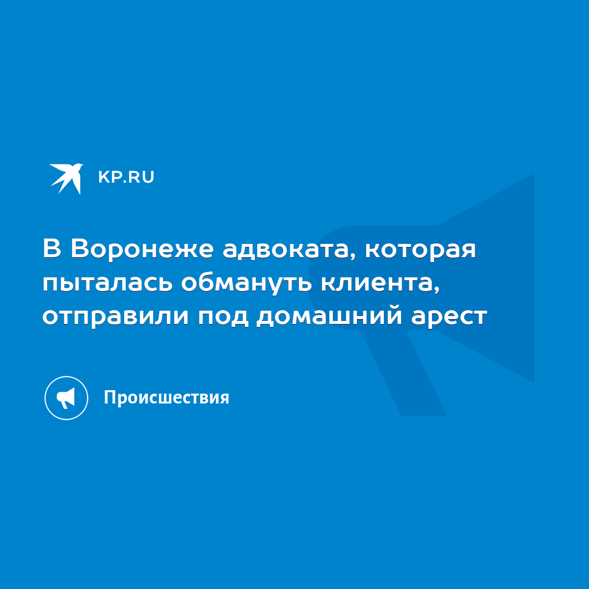 В Воронеже адвоката, которая пыталась обмануть клиента, отправили под  домашний арест - KP.RU