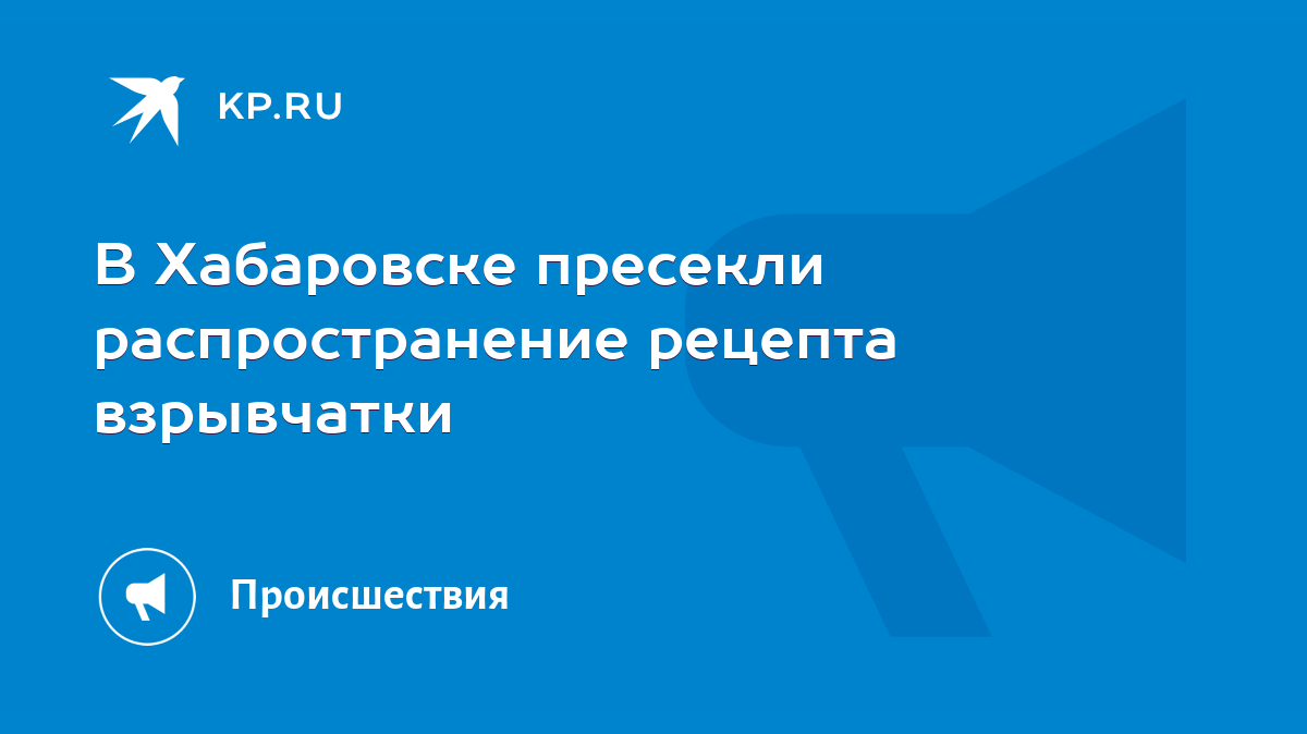 В Хабаровске пресекли распространение рецепта взрывчатки - KP.RU