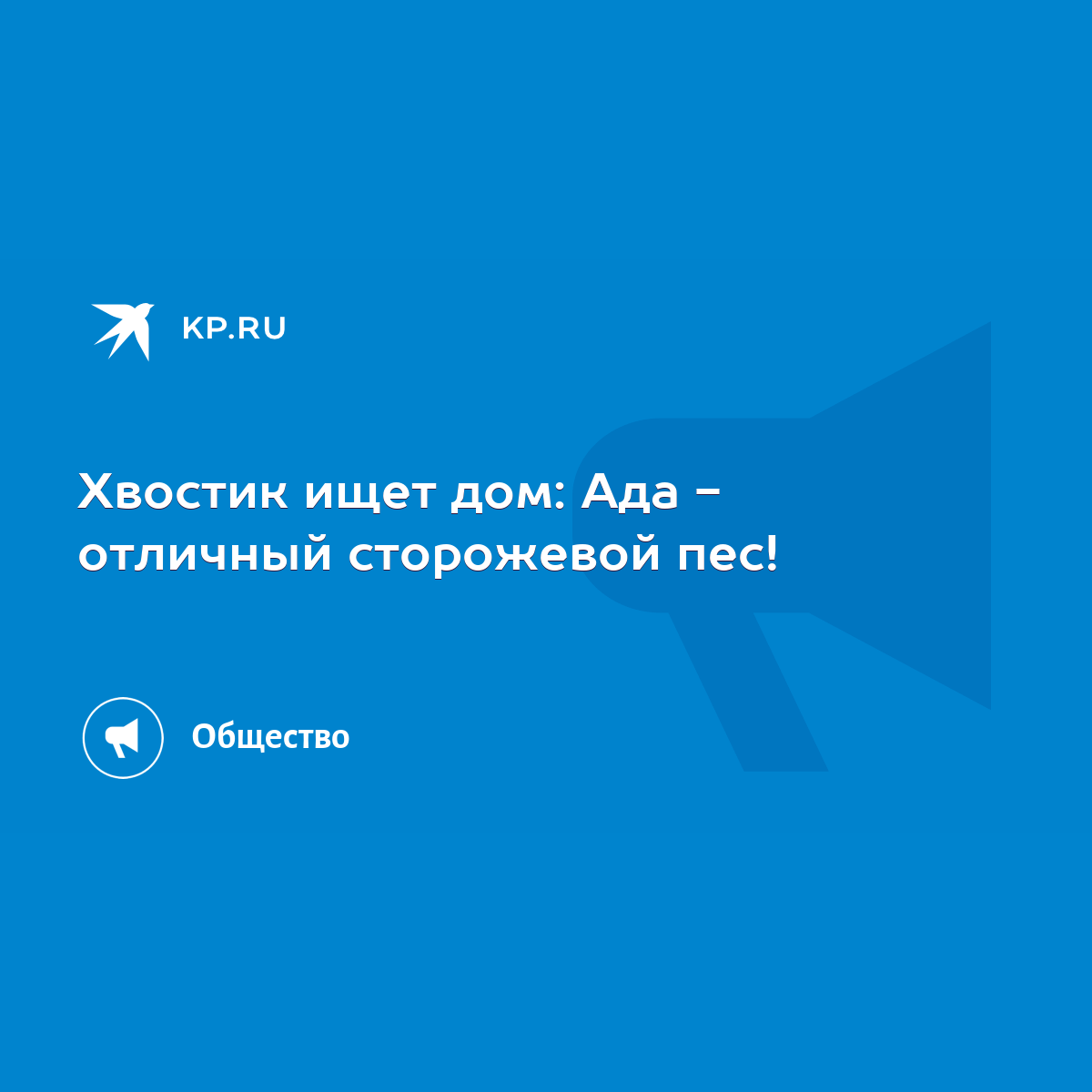 Хвостик ищет дом: Ада - отличный сторожевой пес! - KP.RU