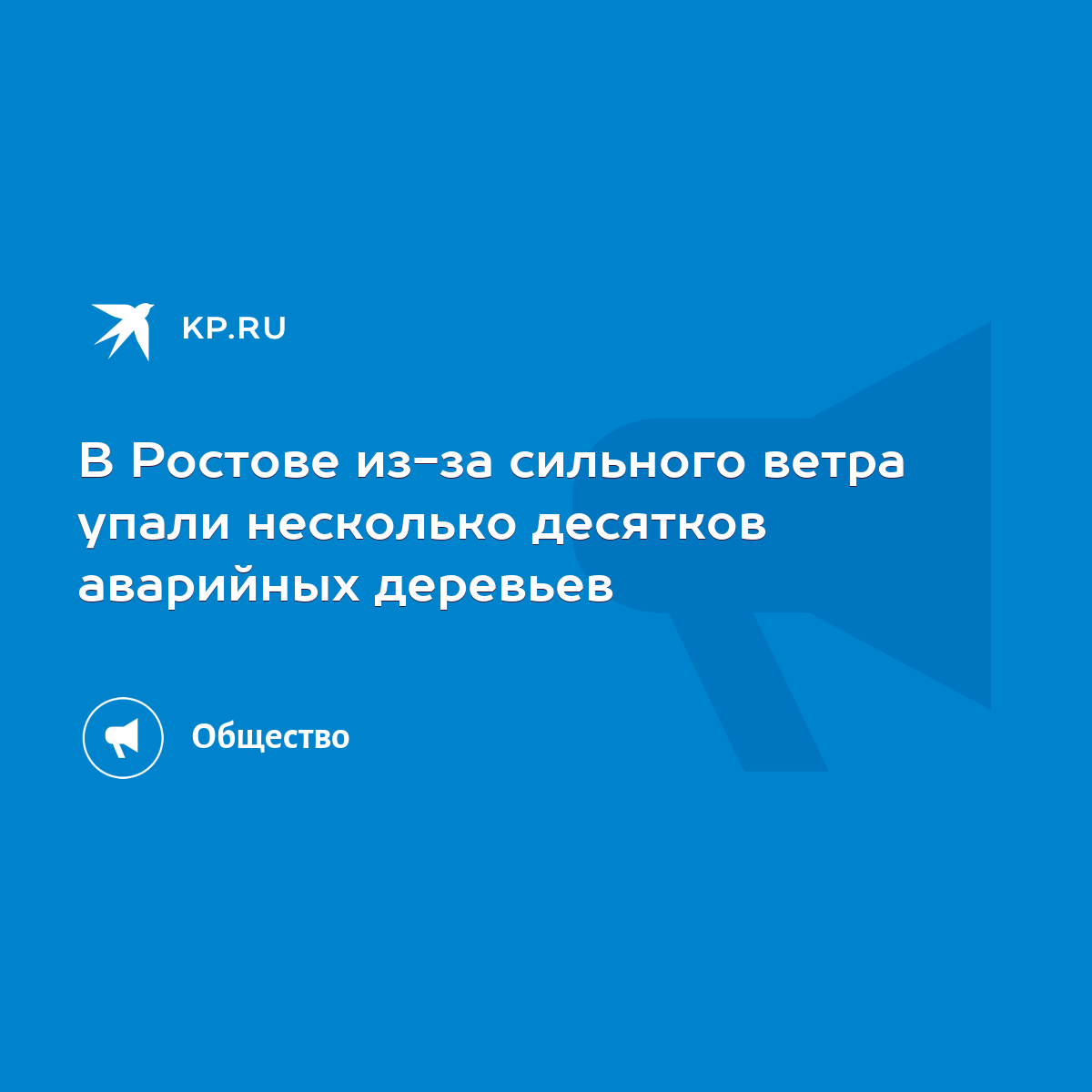 В Ростове из-за сильного ветра упали несколько десятков аварийных деревьев  - KP.RU