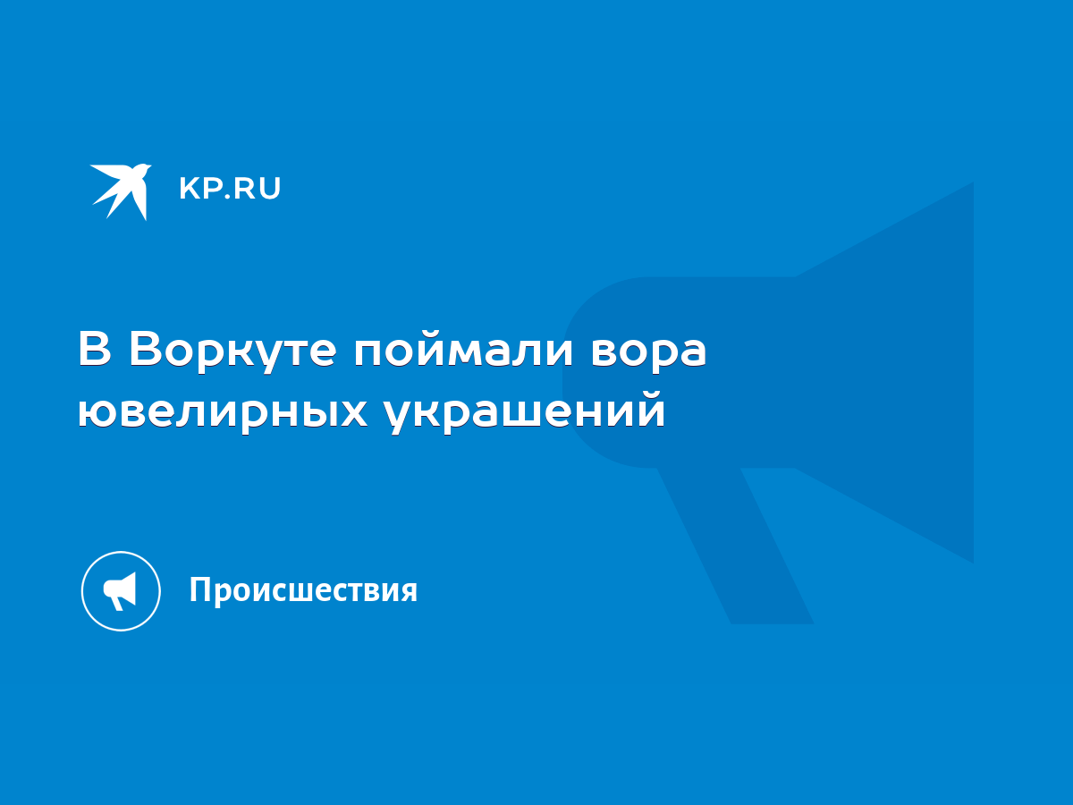 В Воркуте поймали вора ювелирных украшений - KP.RU