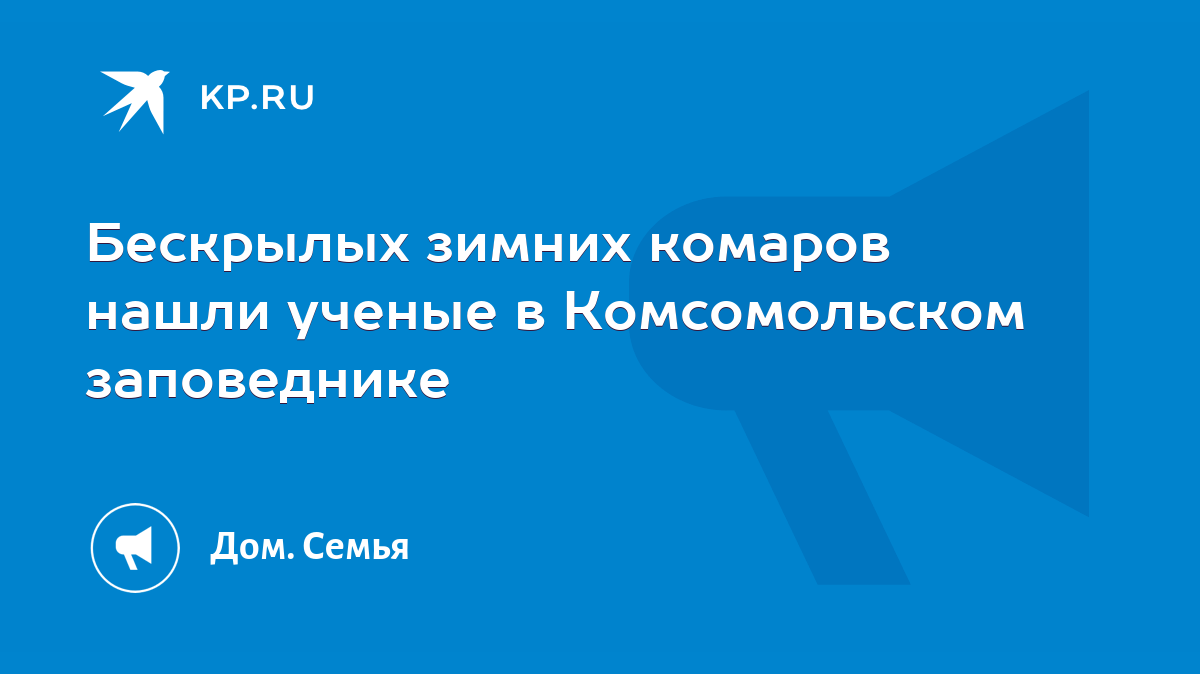 Бескрылых зимних комаров нашли ученые в Комсомольском заповеднике - KP.RU