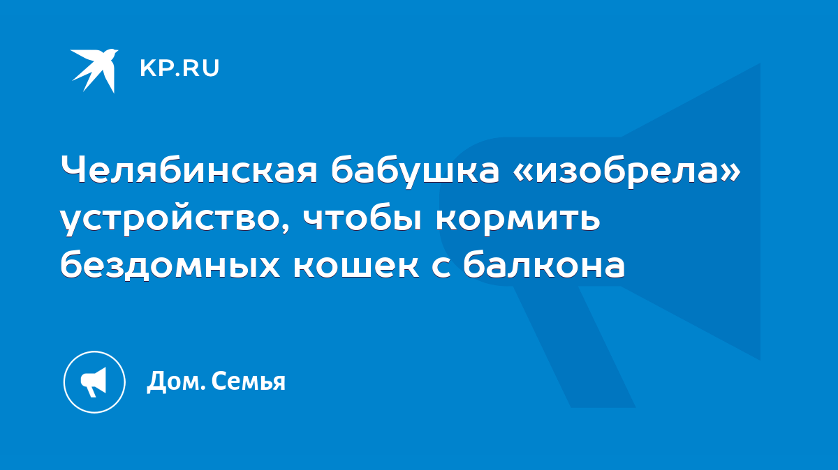 Челябинская бабушка «изобрела» устройство, чтобы кормить бездомных кошек с  балкона - KP.RU