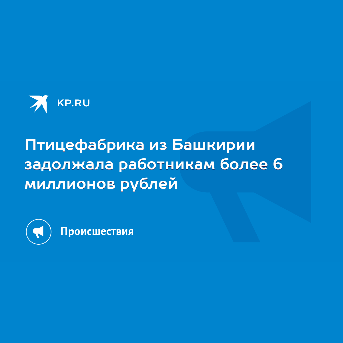 Птицефабрика из Башкирии задолжала работникам более 6 миллионов рублей -  KP.RU