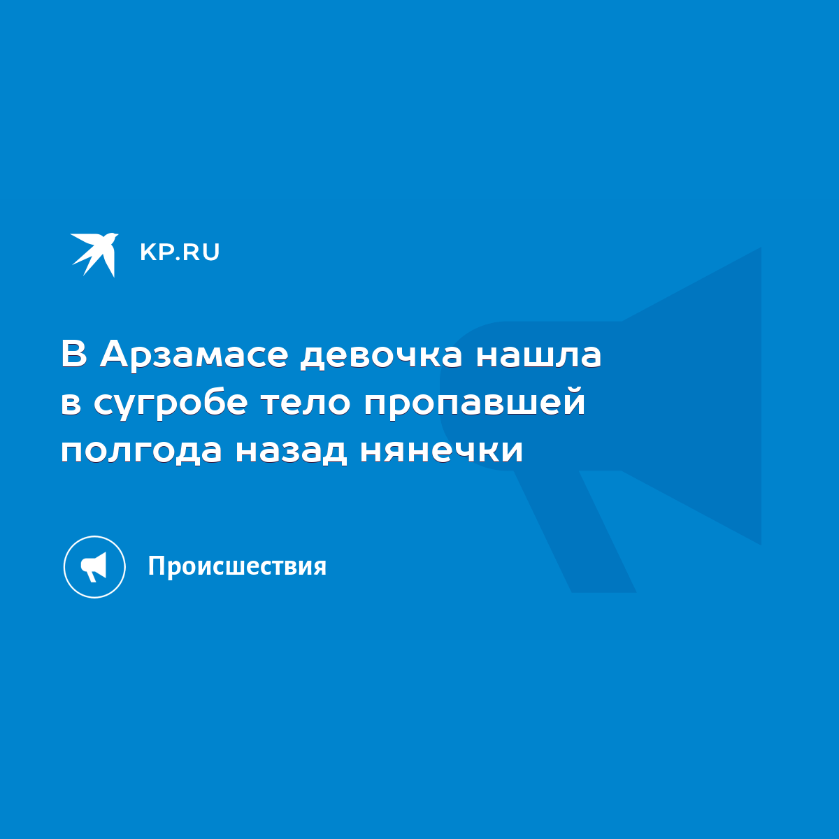 В Арзамасе девочка нашла в сугробе тело пропавшей полгода назад нянечки -  KP.RU