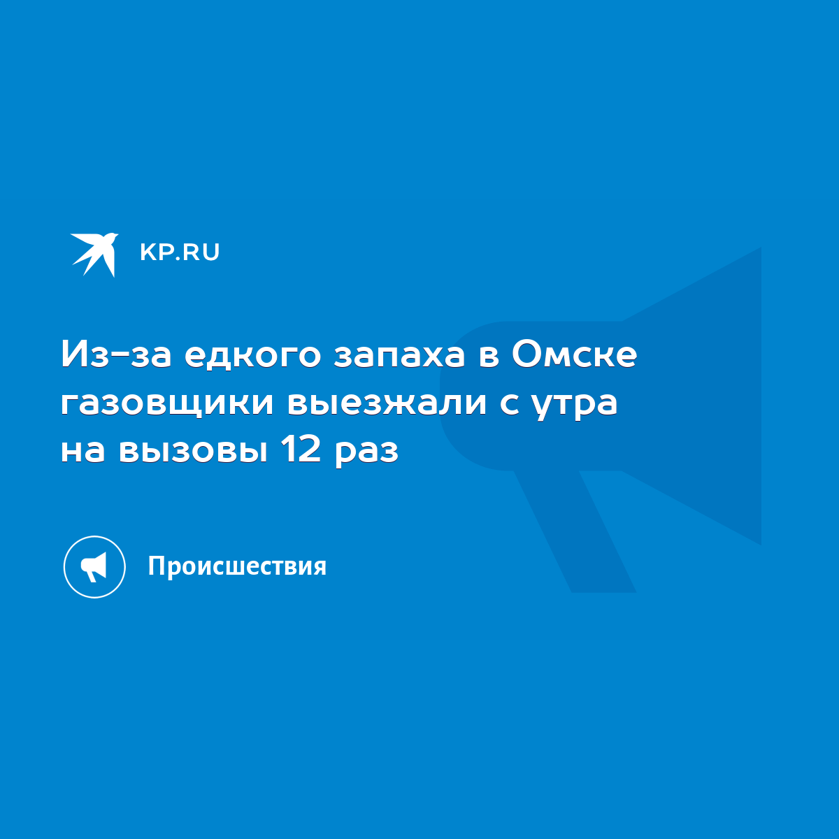 Из-за едкого запаха в Омске газовщики выезжали с утра на вызовы 12 раз -  KP.RU