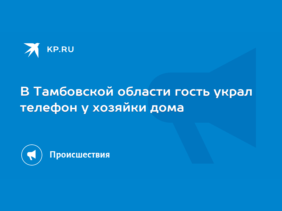 В Тамбовской области гость украл телефон у хозяйки дома - KP.RU