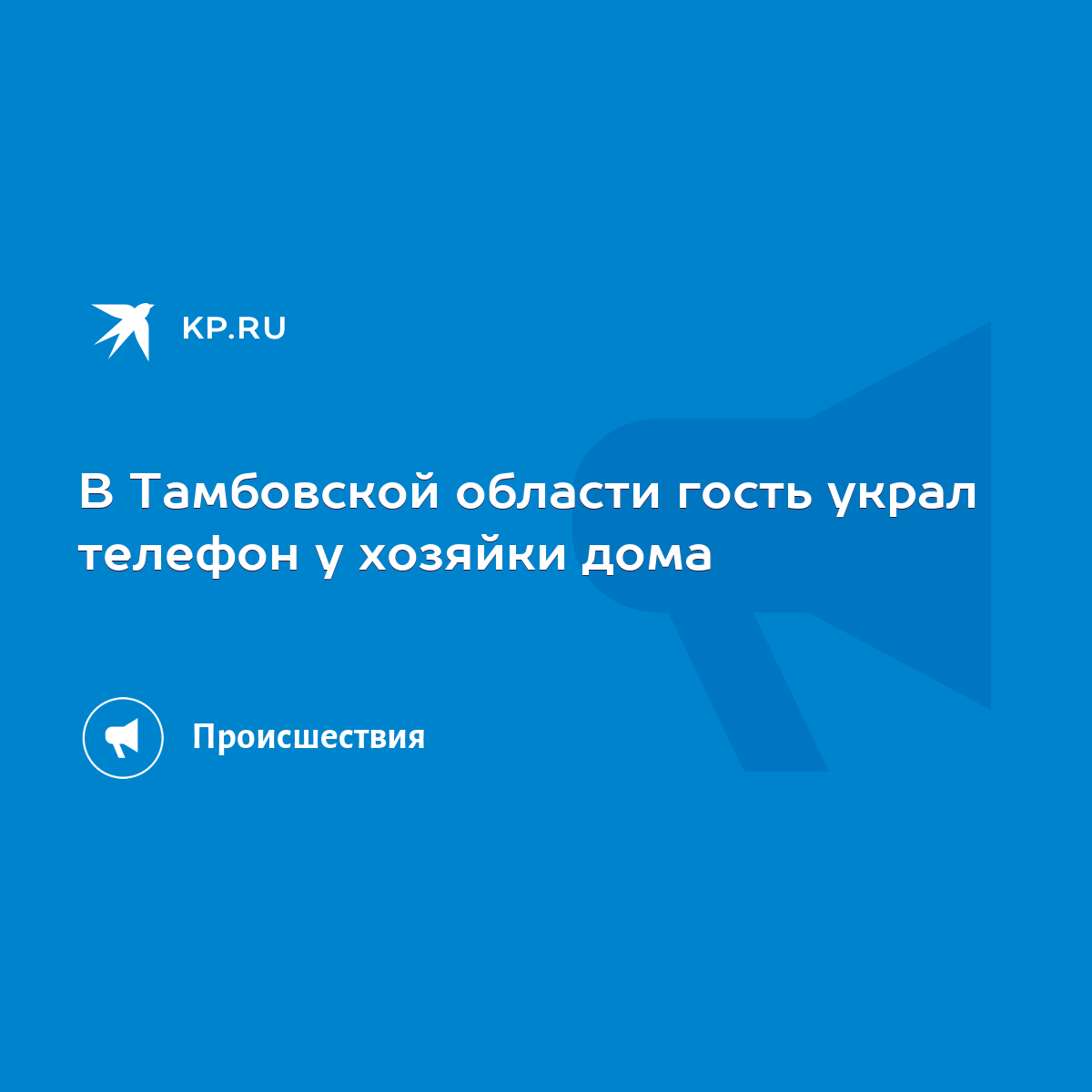 В Тамбовской области гость украл телефон у хозяйки дома - KP.RU