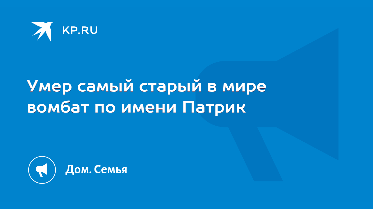 Умер самый старый в мире вомбат по имени Патрик - KP.RU