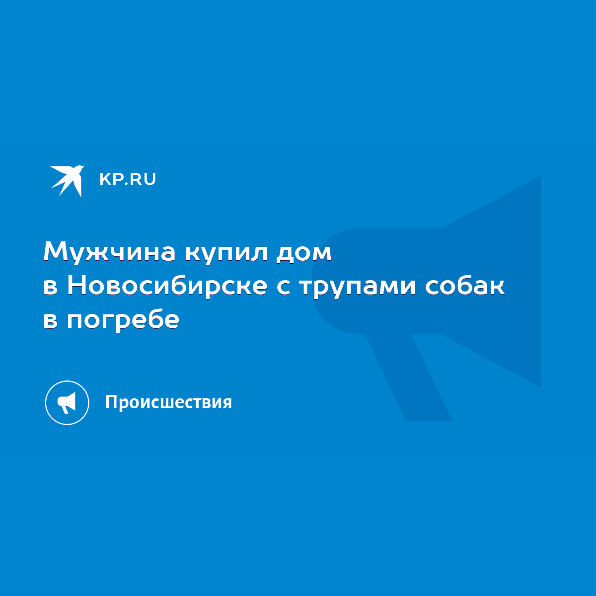 Мужчина купил дом в Новосибирске с трупами собак в погребе - KP.RU