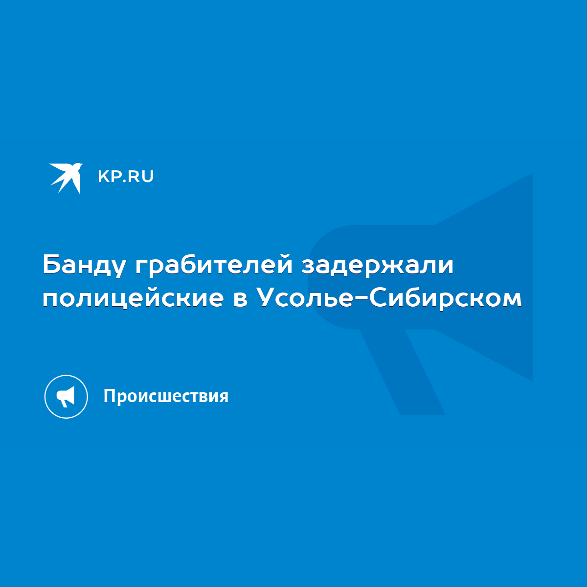 Банду грабителей задержали полицейские в Усолье-Сибирском - KP.RU