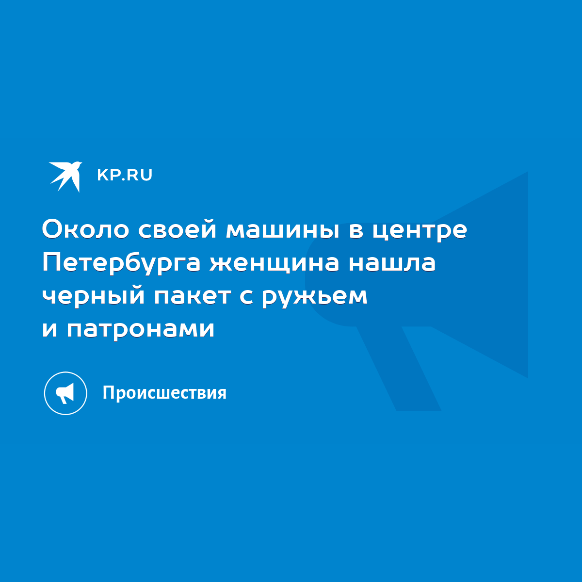 Около своей машины в центре Петербурга женщина нашла черный пакет с ружьем  и патронами - KP.RU