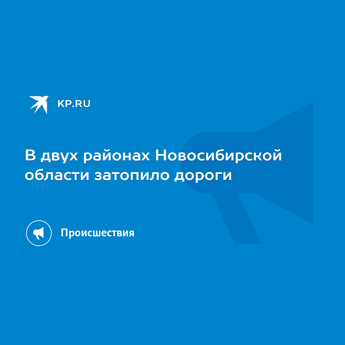 В двух районах Новосибирской области затопило дороги - KP.RU