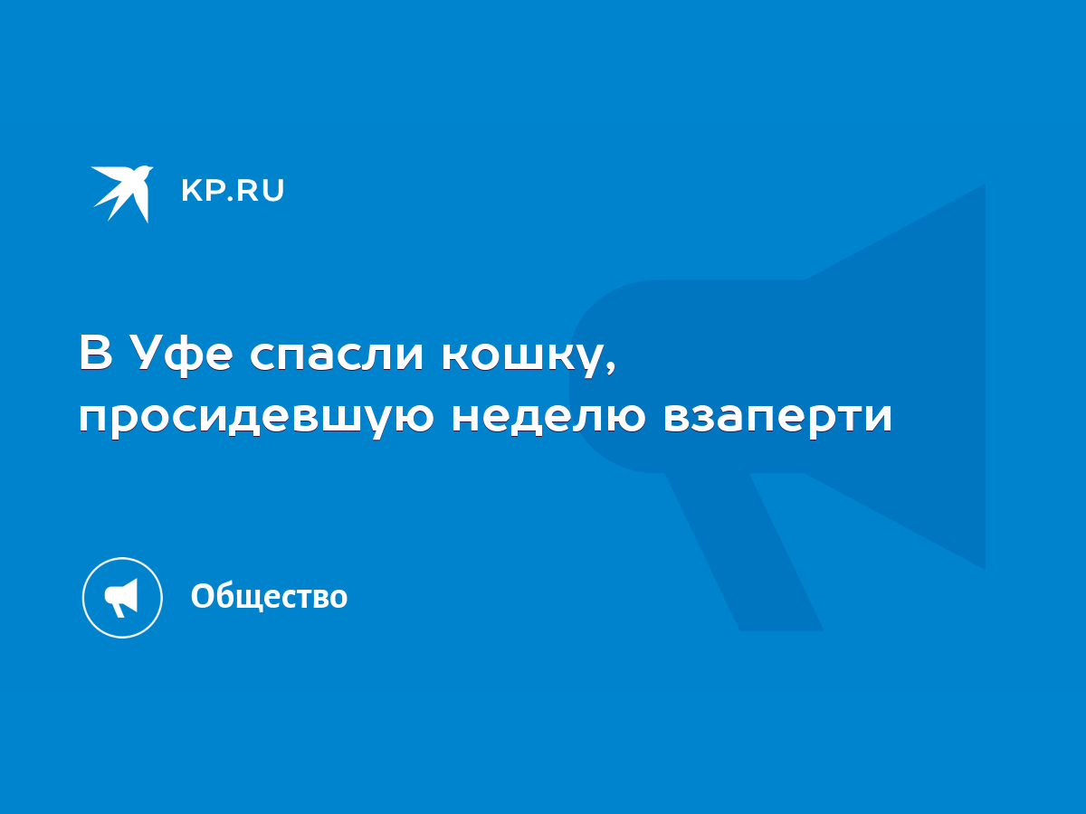 В Уфе спасли кошку, просидевшую неделю взаперти - KP.RU