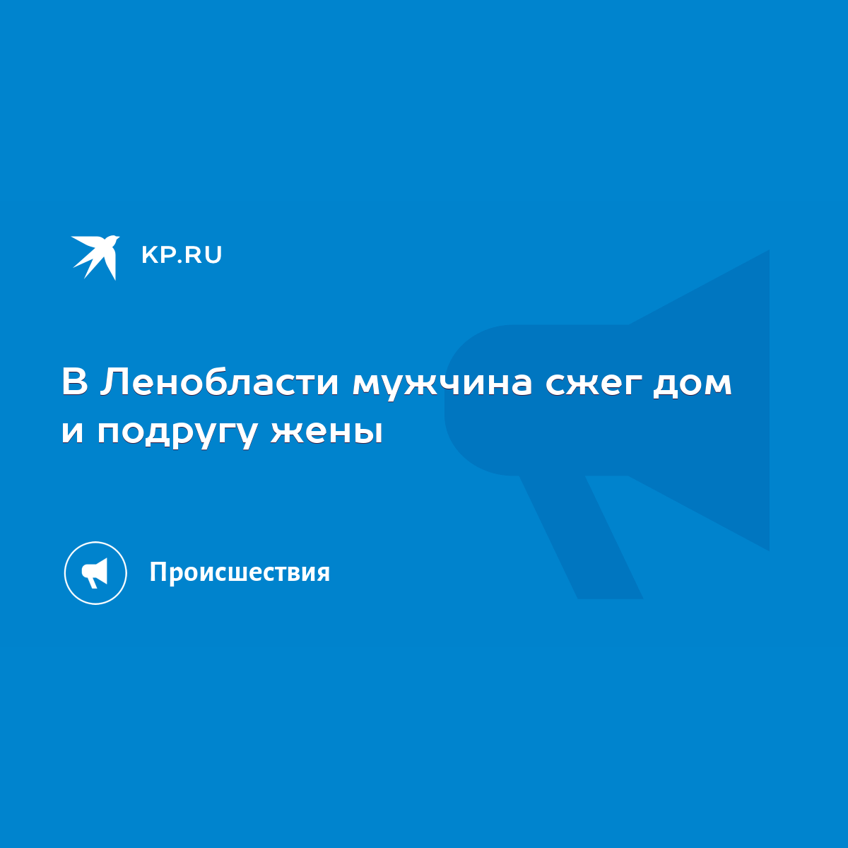 В Ленобласти мужчина сжег дом и подругу жены - KP.RU