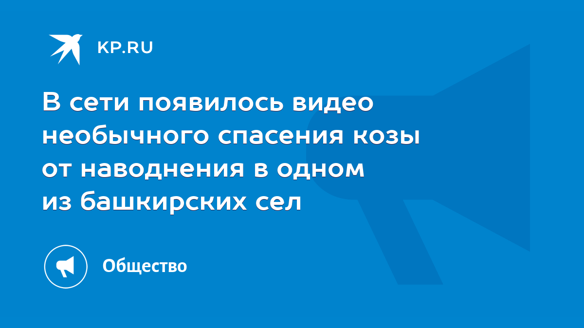 В сети появилось видео необычного спасения козы от наводнения в одном из  башкирских сел - KP.RU