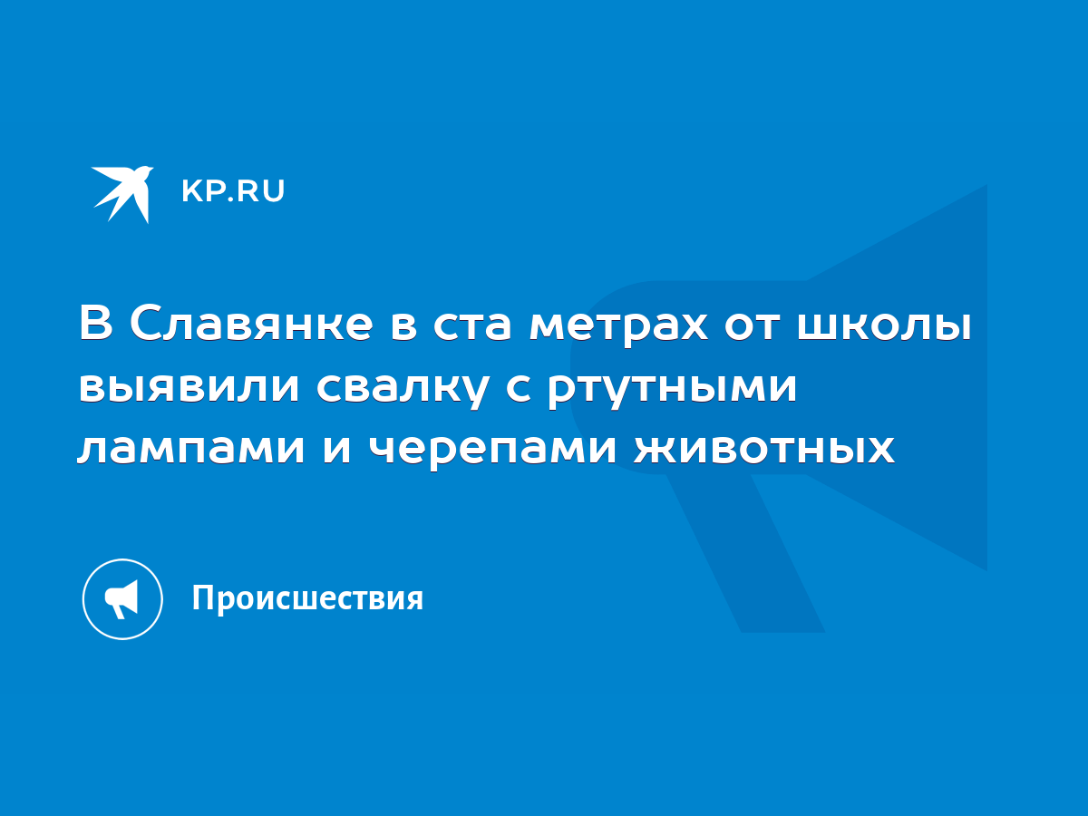 В Славянке в ста метрах от школы выявили свалку с ртутными лампами и  черепами животных - KP.RU