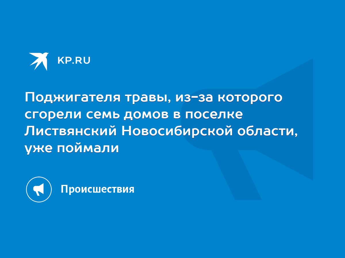 Поджигателя травы, из-за которого сгорели семь домов в поселке Листвянский  Новосибирской области, уже поймали - KP.RU