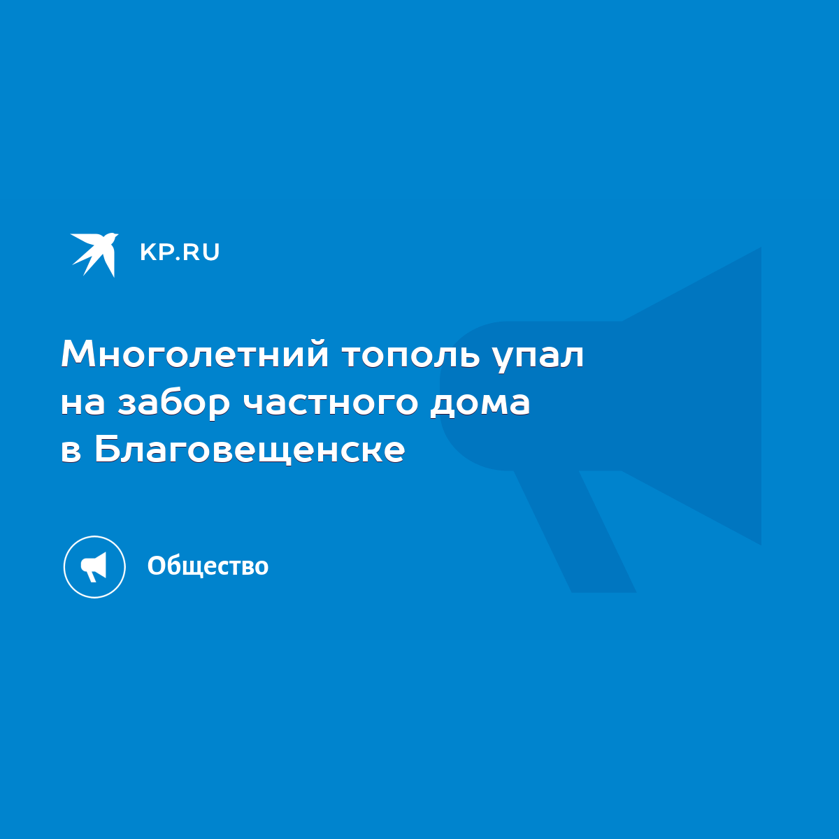 Многолетний тополь упал на забор частного дома в Благовещенске - KP.RU