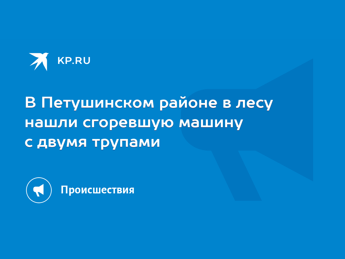 В Петушинском районе в лесу нашли сгоревшую машину с двумя трупами - KP.RU