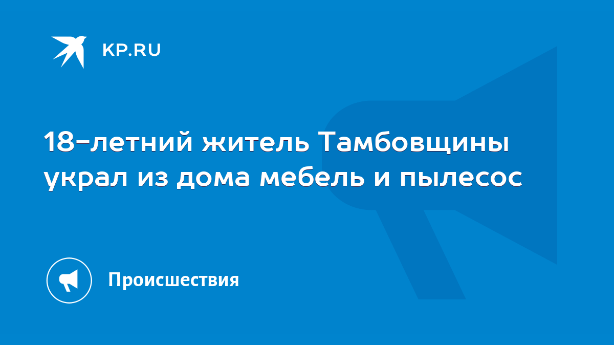 18-летний житель Тамбовщины украл из дома мебель и пылесос - KP.RU