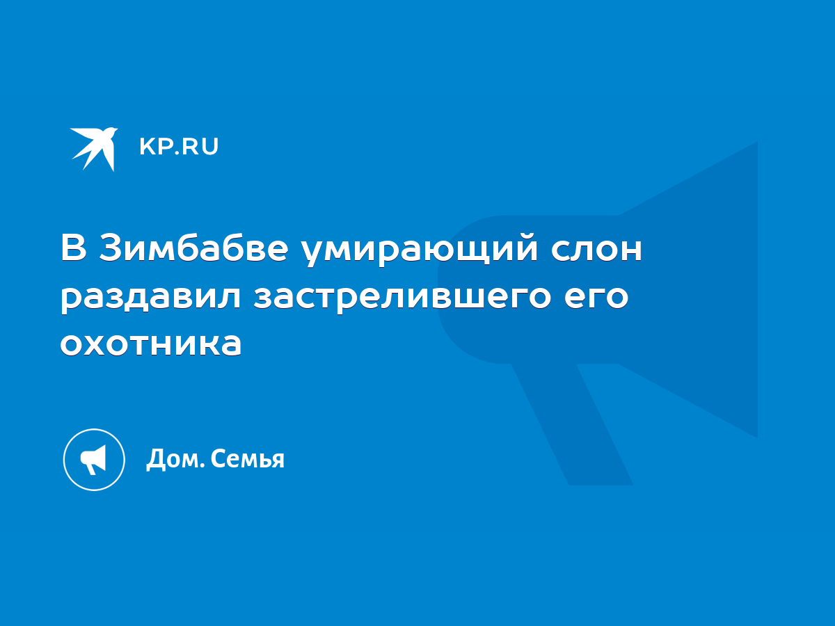 В Зимбабве умирающий слон раздавил застрелившего его охотника - KP.RU