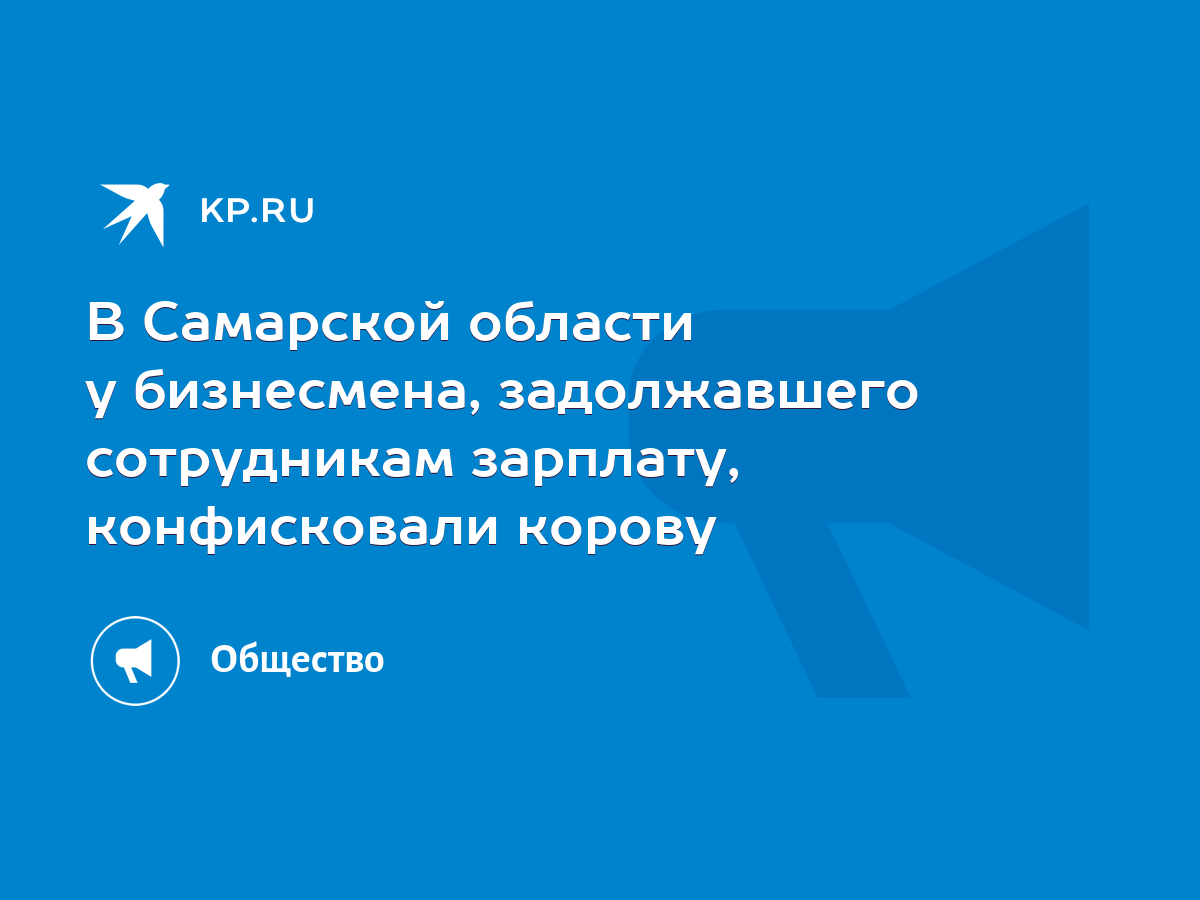 В Самарской области у бизнесмена, задолжавшего сотрудникам зарплату,  конфисковали корову - KP.RU