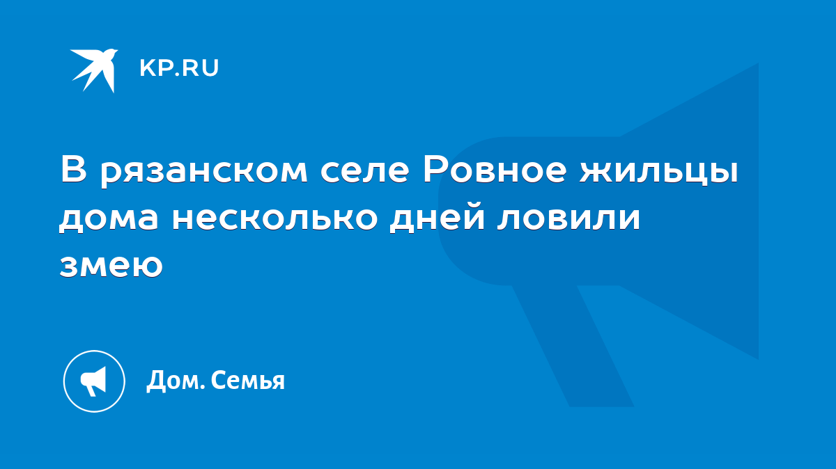 В рязанском селе Ровное жильцы дома несколько дней ловили змею - KP.RU