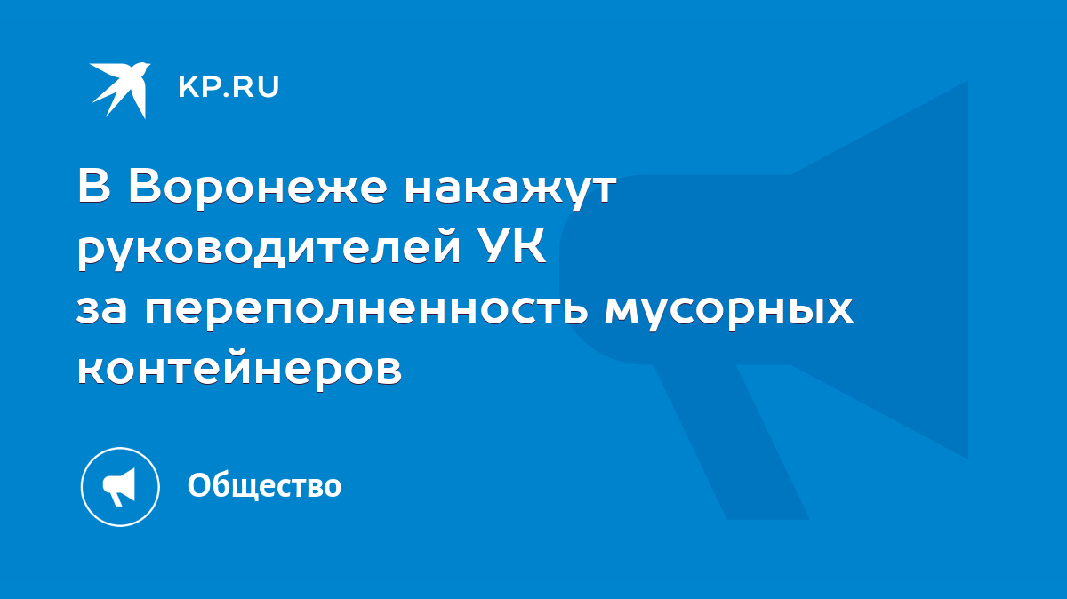 В Воронеже накажут руководителей УК за переполненность мусорных контейнеров  - KP.RU