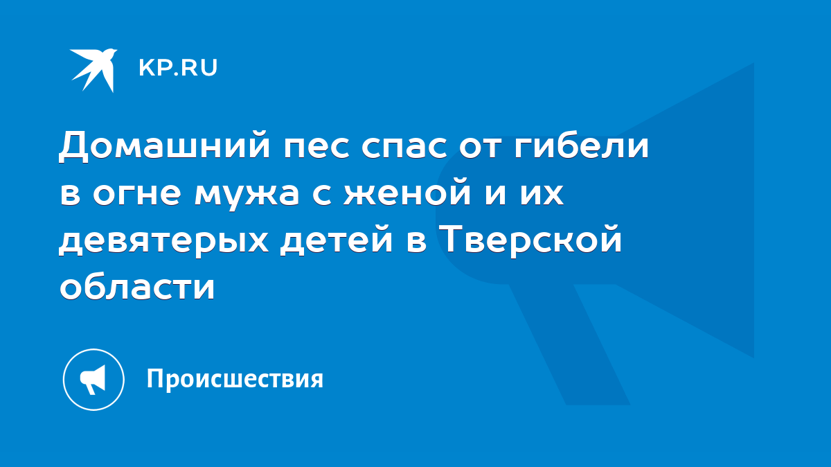 Домашний пес спас от гибели в огне мужа с женой и их девятерых детей в  Тверской области - KP.RU