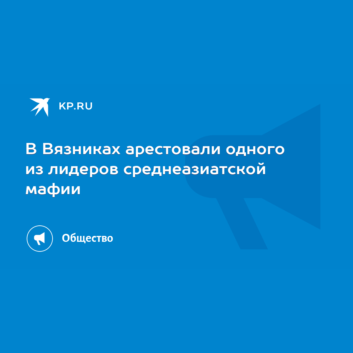 В Вязниках арестовали одного из лидеров среднеазиатской мафии - KP.RU