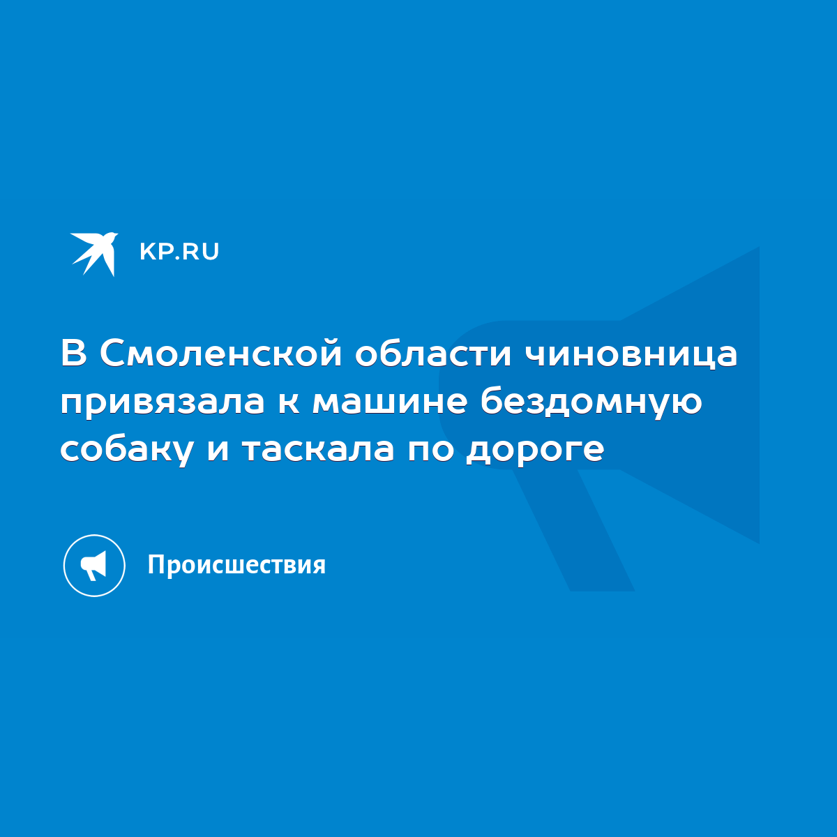 В Смоленской области чиновница привязала к машине бездомную собаку и  таскала по дороге - KP.RU