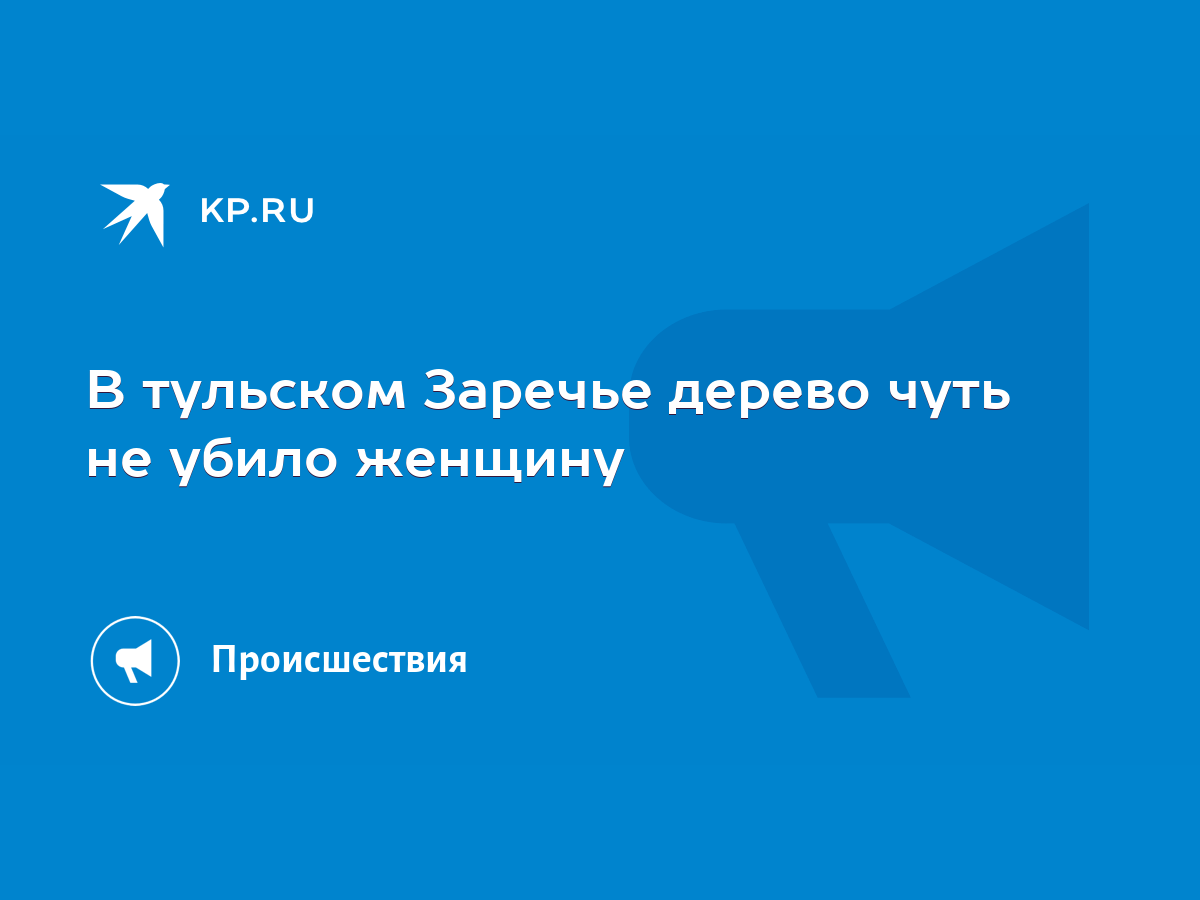 В тульском Заречье дерево чуть не убило женщину - KP.RU