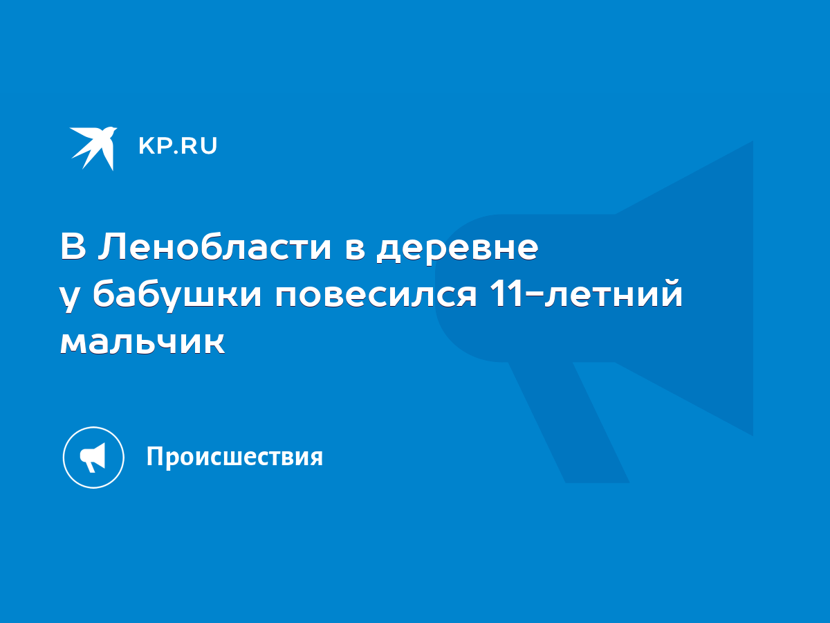 В Ленобласти в деревне у бабушки повесился 11-летний мальчик - KP.RU