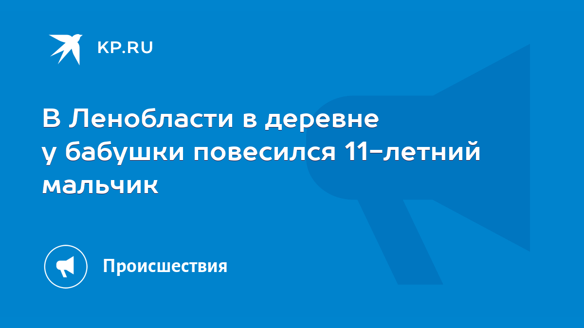 В Ленобласти в деревне у бабушки повесился 11-летний мальчик - KP.RU