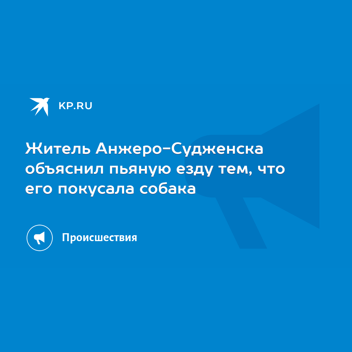 Житель Анжеро-Судженска объяснил пьяную езду тем, что его покусала собака -  KP.RU