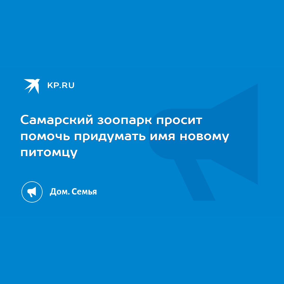 Самарский зоопарк просит помочь придумать имя новому питомцу - KP.RU