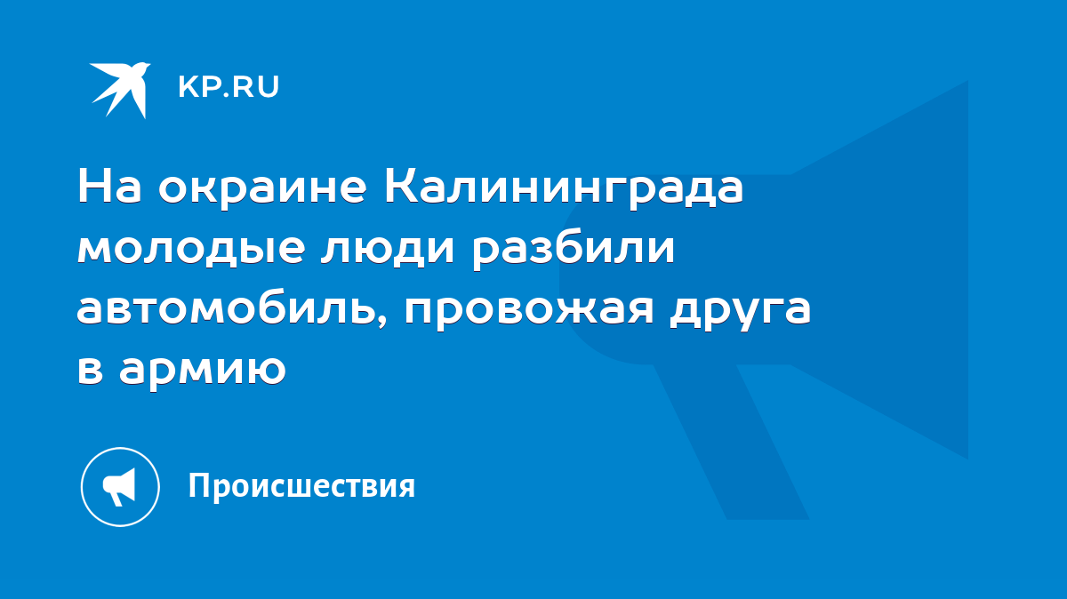 На окраине Калининграда молодые люди разбили автомобиль, провожая друга в  армию - KP.RU