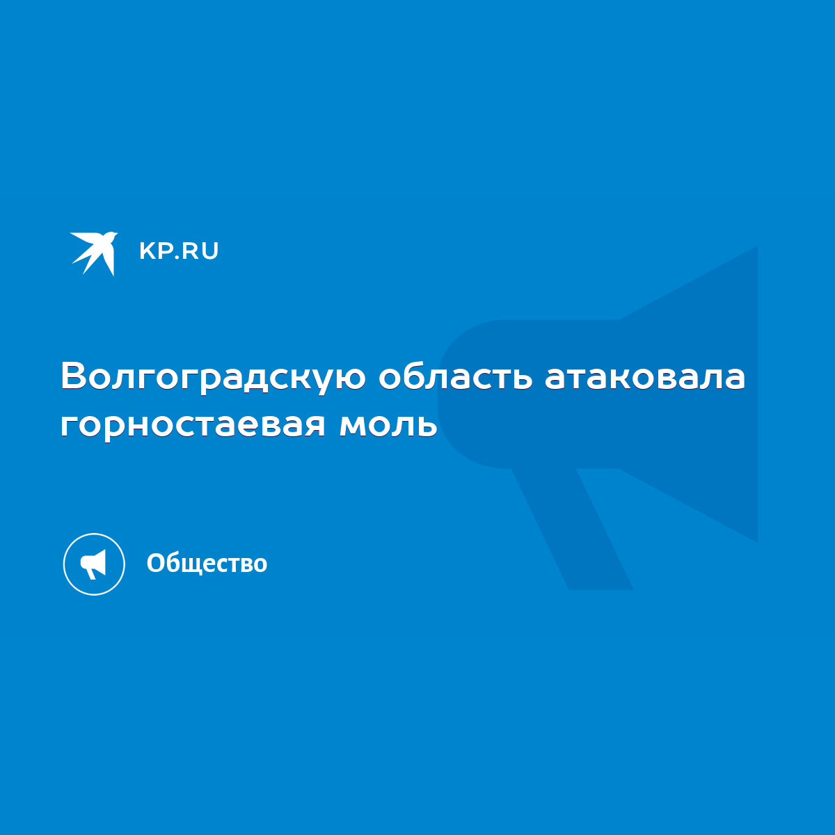 Волгоградскую область атаковала горностаевая моль - KP.RU