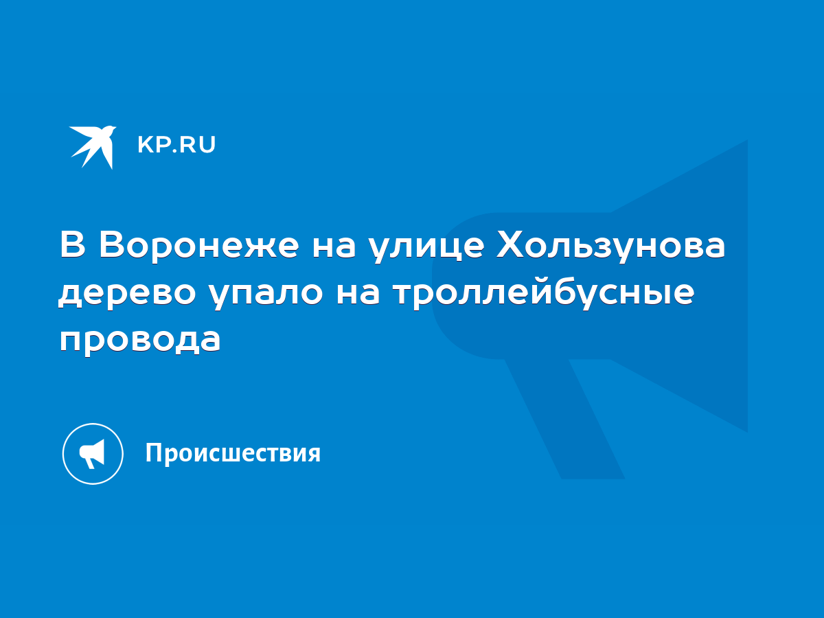 В Воронеже на улице Хользунова дерево упало на троллейбусные провода - KP.RU