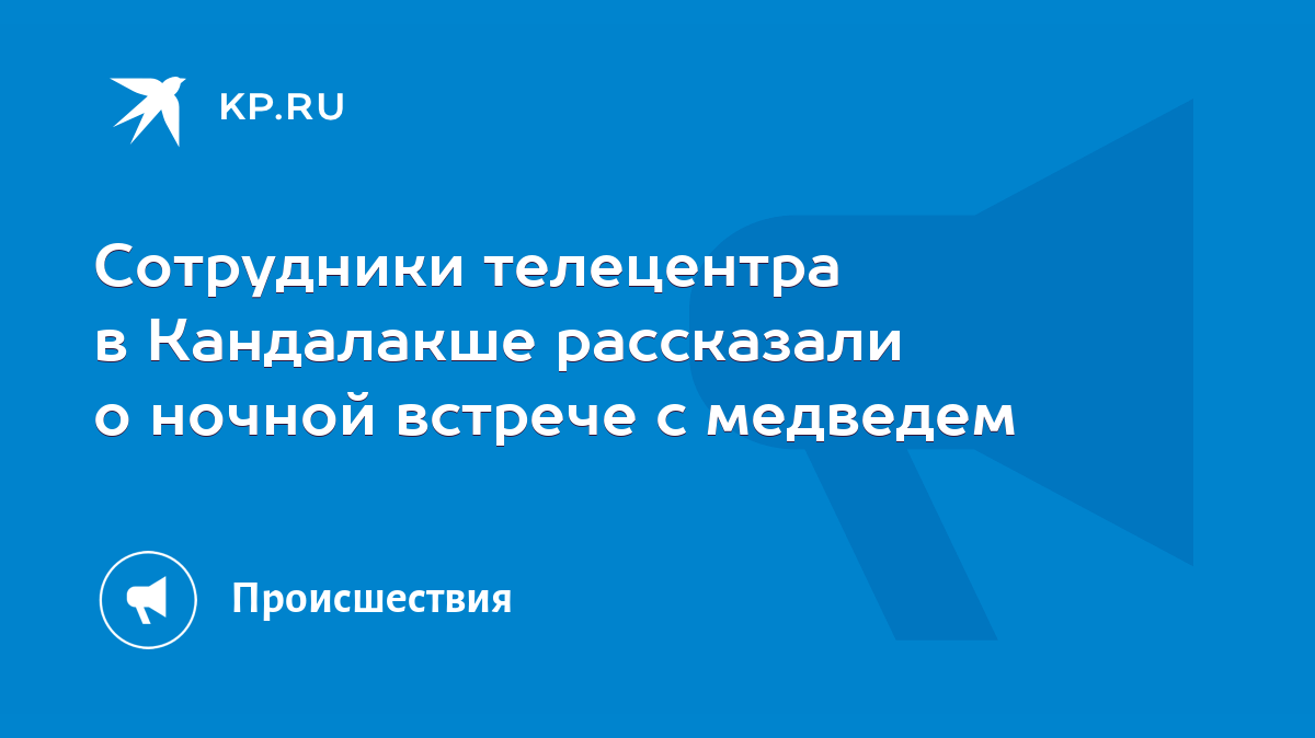 Сотрудники телецентра в Кандалакше рассказали о ночной встрече с медведем -  KP.RU